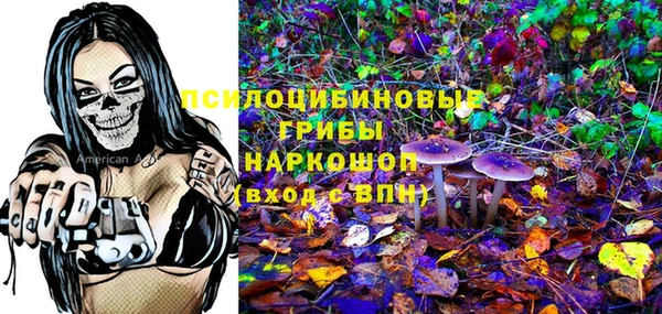 твердый Белокуриха