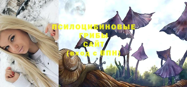 твердый Белокуриха