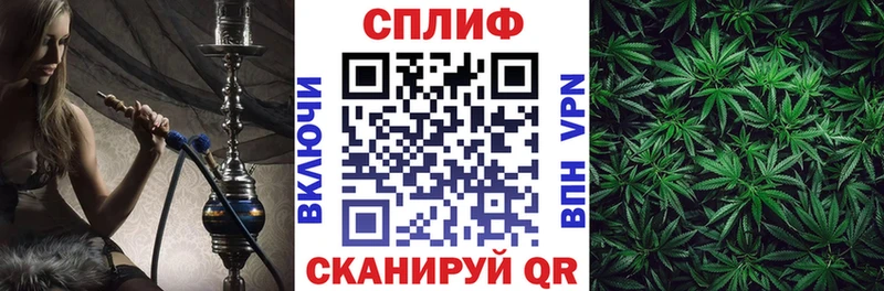 Конопля SATIVA & INDICA  Тогучин 